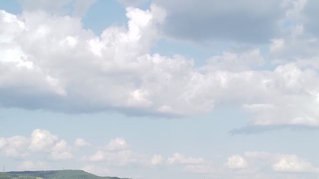 Стрижи летают