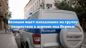 Полиция ищет нападавших на группу подростков в деревне под Пермью