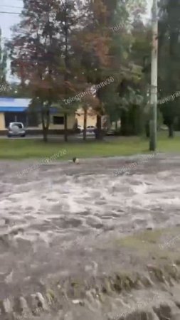 А на Петровской набережной людей буквально носили потоки воды. 😲
