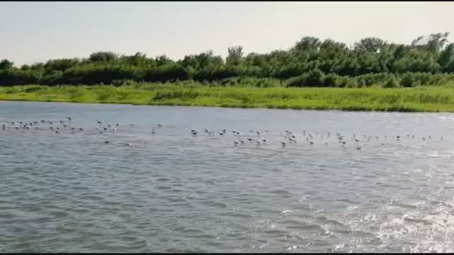 Владимир Трошин - Течёт Волга