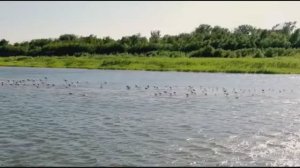 Владимир Трошин - Течёт Волга