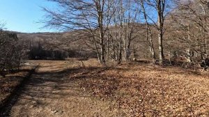 Шок! Где найти ёлку в Крыму???
Продолжение поездки в Крым на новый год