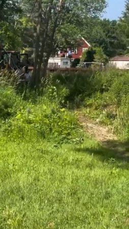 Неправильно рассчитали вес дерева арбористика