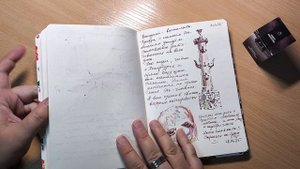 Летний дневник 2025. Часть 1