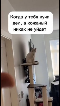 Иди, иди уже. Работай.