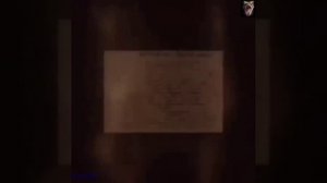 Общество и закон