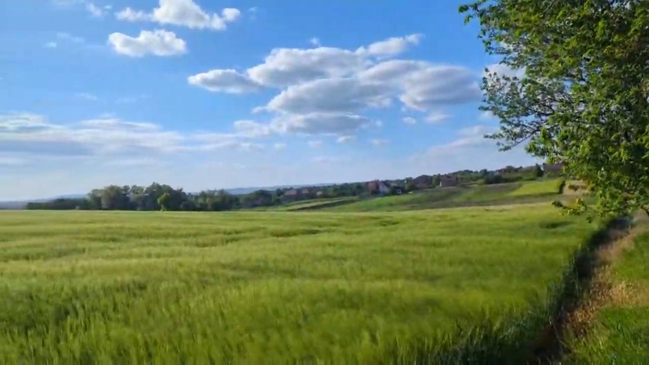 Ах лето, не лети
