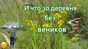 Деревня. Баня.Веники.
