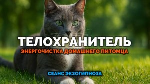 ТЕЛОХРАНИТЕЛЬ. ЭНЕРГОЧИСТКА ДОМАШНЕГО ПИТОМЦА: СЕАНС ЭКЗОГИПНОЗА