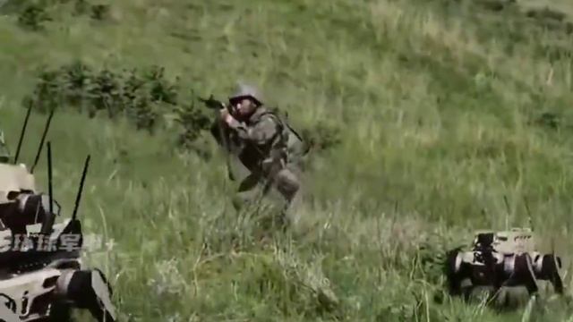 Атака робо-псов