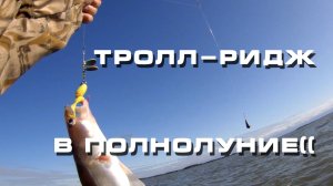 Тролридж в полнолуние