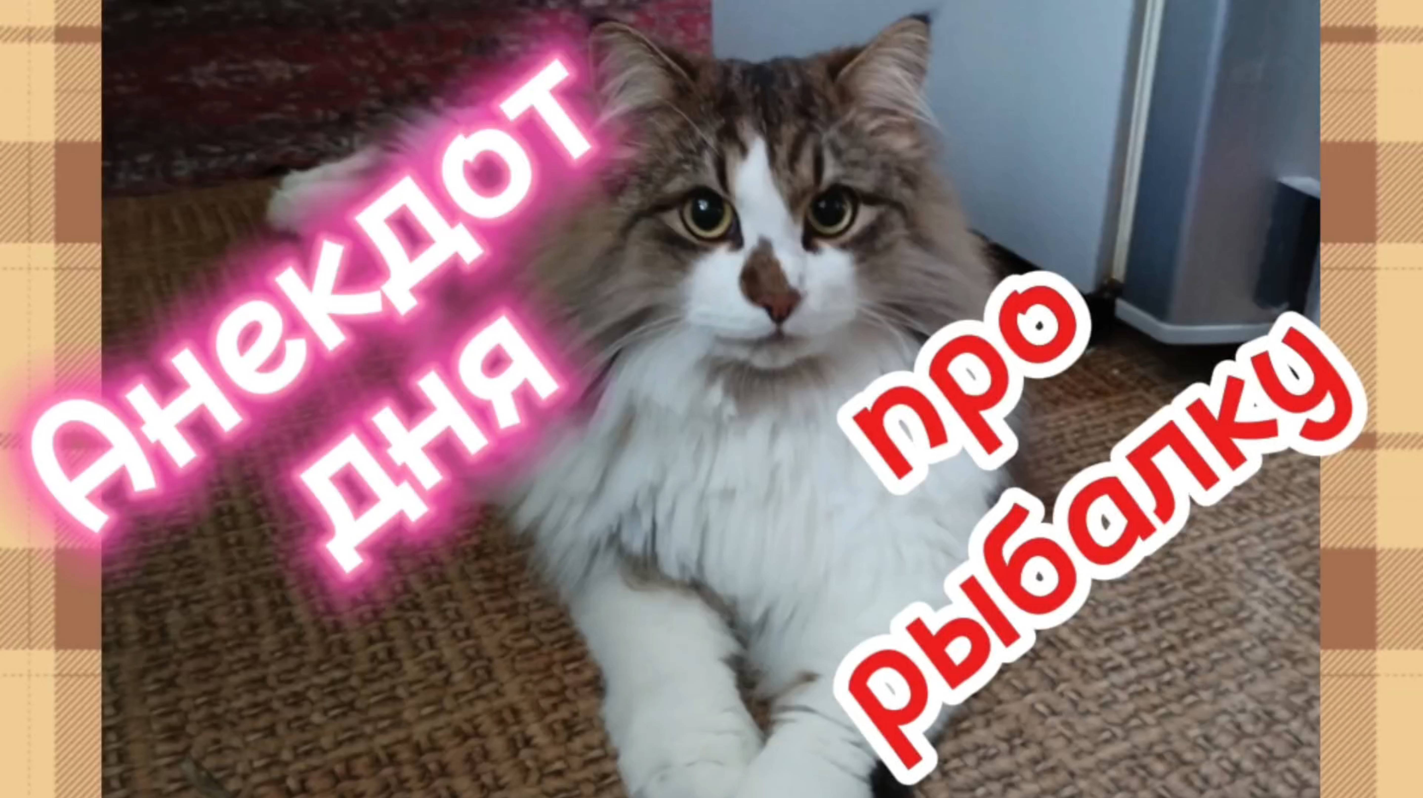 Анекдот дня про рыбалку.