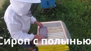 Работа на пчельнике, усиливаю отводки, готовлю сироп с полынью, для пчёл.