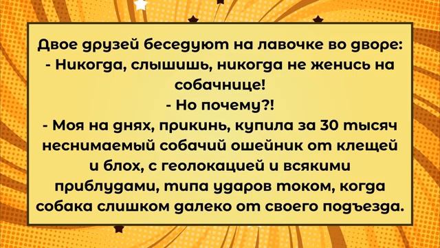 ТЁЩИН ЯЗЫК. Анекдоты 😂😂😂