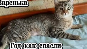 Варенька. Год как спасли.