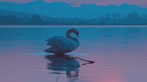 Красивый стих про любовь