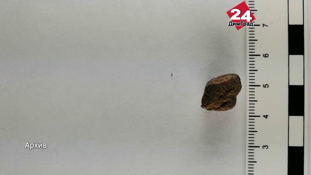 Димитровградцев просят сообщать о незаконных посевах растений, содержащих наркотические средства