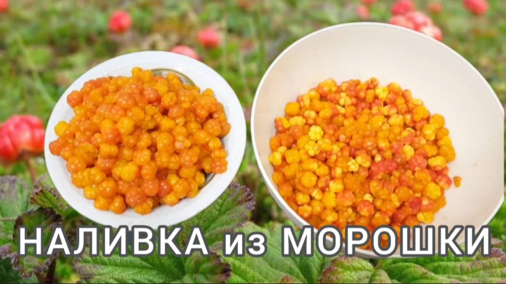 Рецепт приготовления наливки из МОРОШКИ.