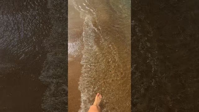 Ищем Янтарную комнату 😏