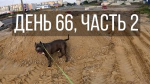 День 66, часть 2