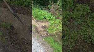 20250713  2 Продолжаются работы по закрытию канавки, которая мешает заехать машине с дровами.