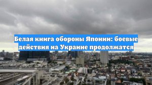 Белая книга обороны Японии: боевые действия на Украине продолжатся