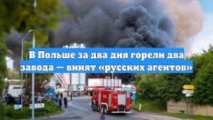 В Польше за два дня горели два завода — винят «русских агентов»