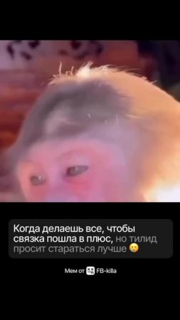 Когда делаешь всё, чтобы связка пошла в плюс, он тимлид просит стараться лучше