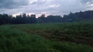 Возле лесного пруда. Велопоход 12.07.25, часть 22.