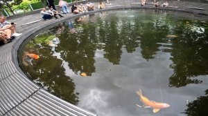 Парк  Краснодар 2025