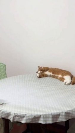Я в игре, ура!