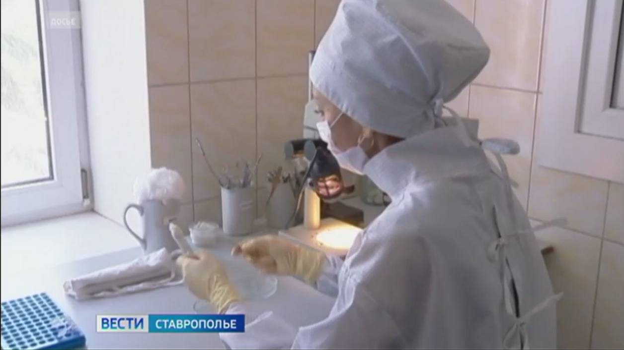 Клещи на Ставрополье снижают активность