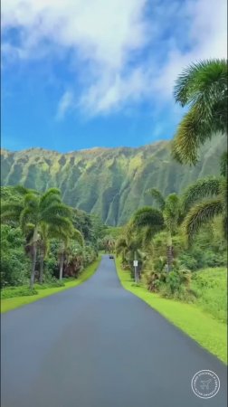 Остров Оаху, Гавайи🌴