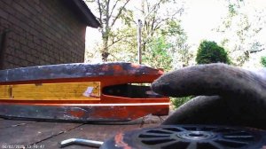 Смазываю колесо трюкового самоката