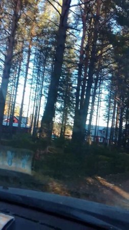 ВЫЕХАЛИ НА КАКОЮ ТО ТЕРЕТОРИЮ В ЛЕСУ