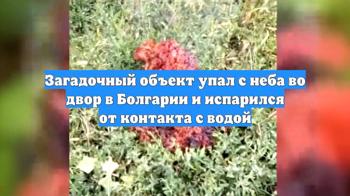 Загадочный объект упал с неба во двор в Болгарии и испарился от контакта с водой