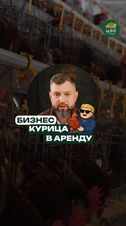 Фермерский бизнес для всех — попробуй курицу в аренду!