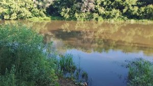 Самарская область#речка