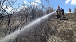 Тушения ландшафтного пожара возле Грушевого озера. 15.07.2025