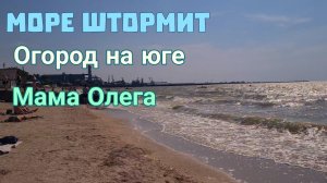 Ейск. Море штормит. Сад и огород. Мама Олега. И многое другое...