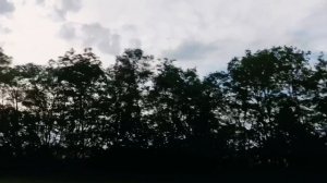 Приключения "Орлова", но не графа.сезонконтентаRUTUBE #пруд #бриллиант #рыбалка #природа