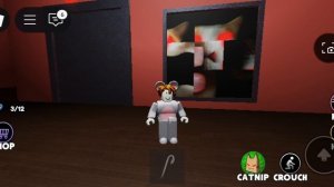 как в игре сбегите от кота получить голубой ключ