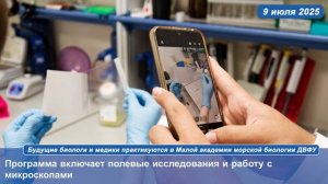 Будущие биологи и медики практикуются в Малой академии морской биологии ДВФУ