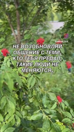 Мудрые советы