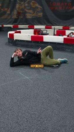 Следы наших друзей