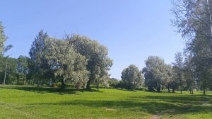 Погода Петербург . 15.07.2025 . 11:57 . +27° .