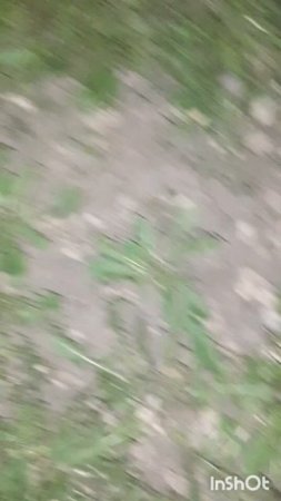 ПроСИМ.Эл-велосипед Kugoo Kirin V3pro.Фильм16.Серия5.Часть3 .mp4