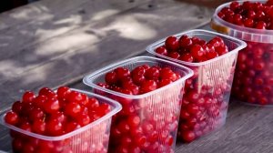 Программа "Главные новости" на 8 канале от 15.07.2025 Часть 2