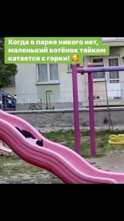 Дети, есть дети!)
