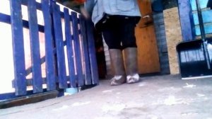 Что я приготовила и чего мне хочется в этом году